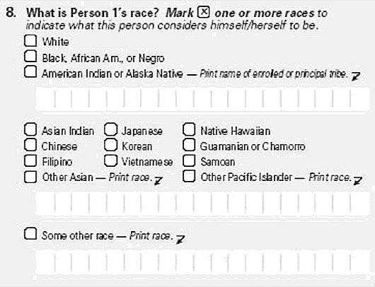 Figure 1. Formulaire de déclaration de “race” lors du recensement de 2000 aux États-Unis