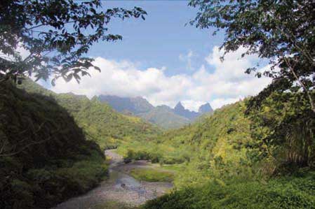 Vallée du Papeno à Tahiti