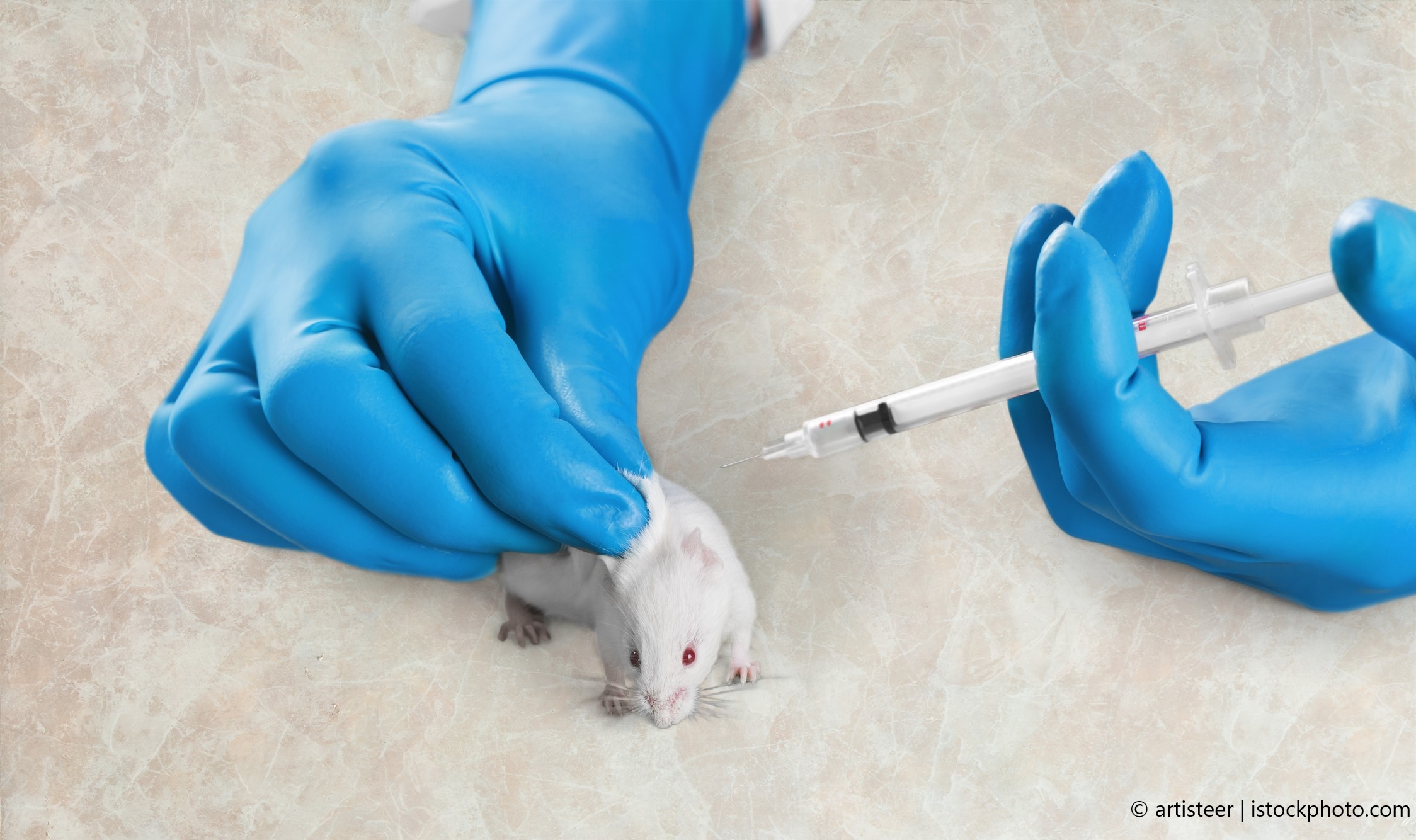 Вакцина мыши. Лабораторные мыши. Заражение лабораторных животных. Исследования на мышах.