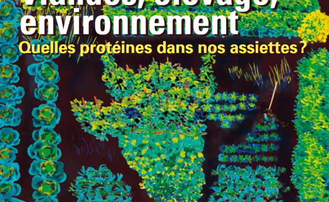 351 (Janvier 2025)