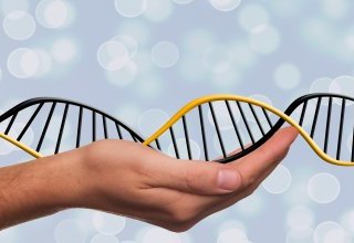 Désactiver CRISPR-Cas9 pour étudier la fonction des gènes : la méthode CRISPRi