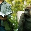 Sexe et genre vus par un primatologue