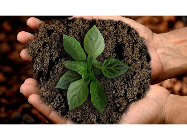 [Paris, le jeudi 8 février 2024, 18h45] (Méga-)Bassines : solution d'adaptation ou aberration écologique ?