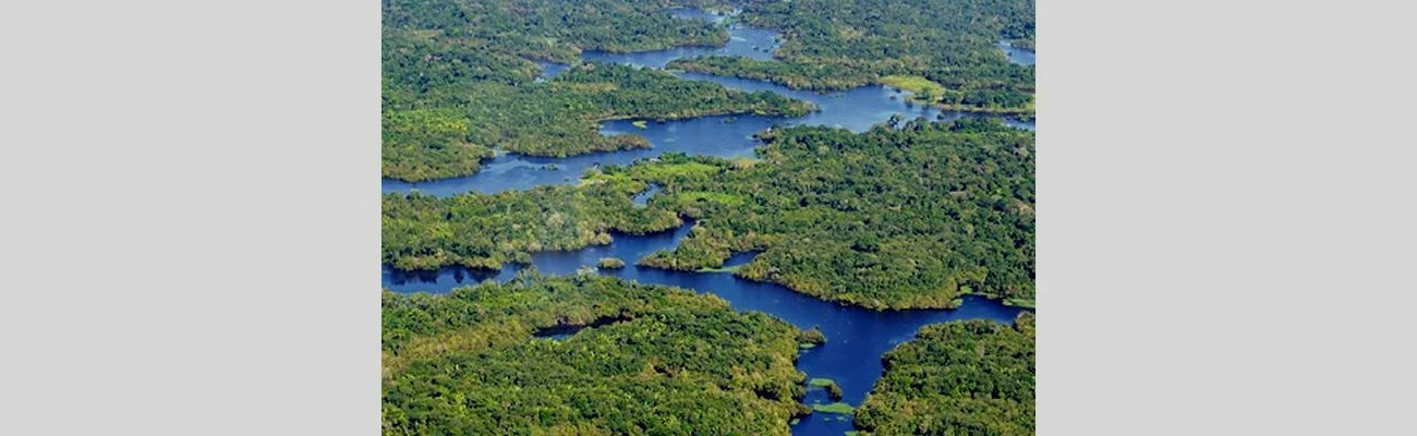 L'Amazonie, le « poumon » de la Terre ?