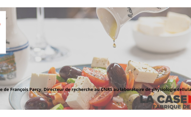 Vidéo - Conférence Quels végétaux dans nos assiettes dans le monde de demain ?