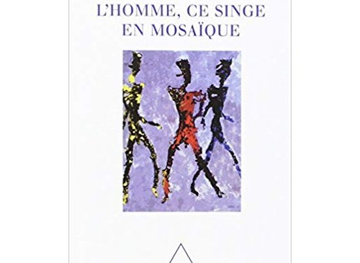 L'Homme, ce singe en mosaïque