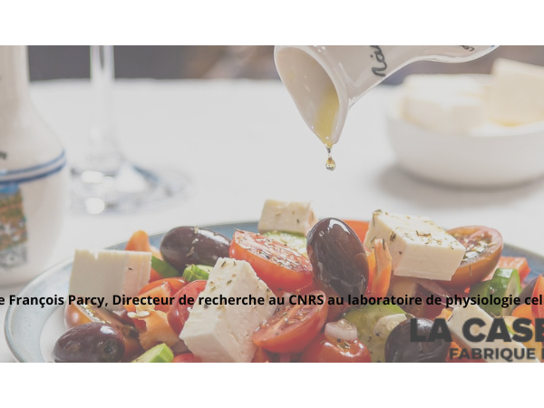 Vidéo - Conférence Quels végétaux dans nos assiettes dans le monde de demain ?