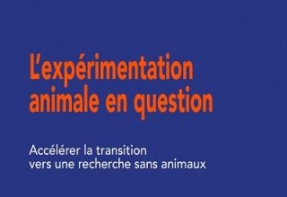 L'expérimentation animale en question