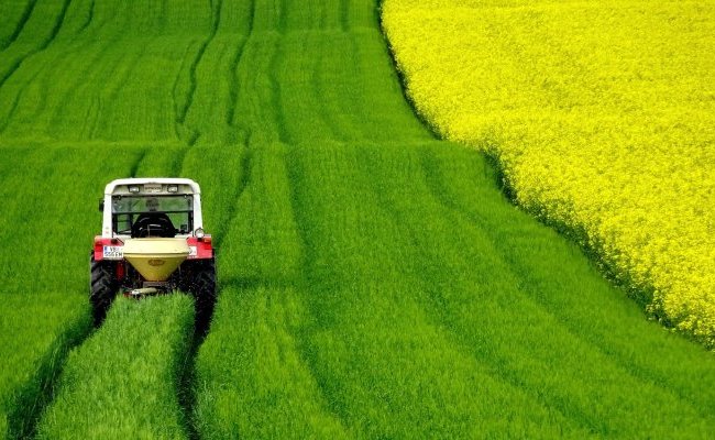 Pesticides : analyser les risques, mais aussi les bénéfices
