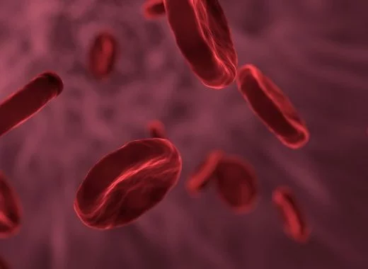 Acidose et « déséquilibre acido-basique » : un nouveau fléau ?