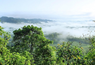 Voir sous la forêt : l'apport du lidar à la recherche archéologique en Amazonie