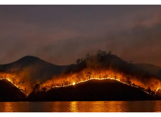 Quels sont les impacts du changement climatique ?