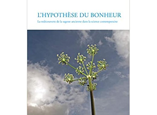  L'hypothèse du bonheur 