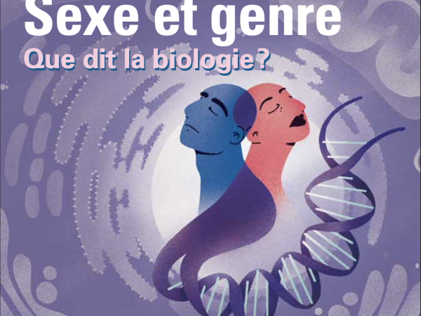 347 (Janvier 2024)