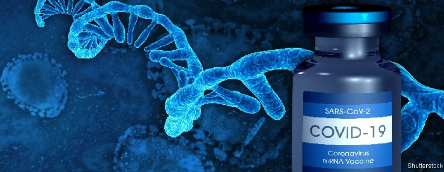 Les vaccins génétiques et le risque de recombinaison virale