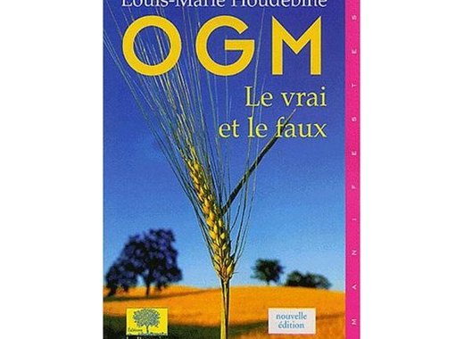 OGM, le vrai et le faux