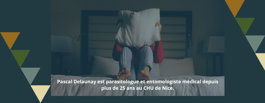 [Conférence en ligne - Mardi 3 décembre 2024 à 20h00] Punaises de lit