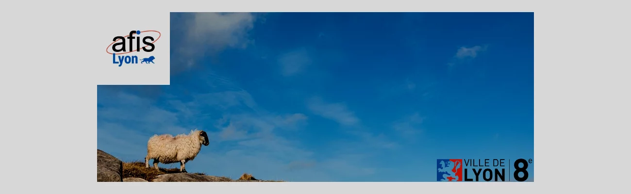 [Lyon - Vendredi 07 novembre à 19h30] Sensibilité et conscience animale