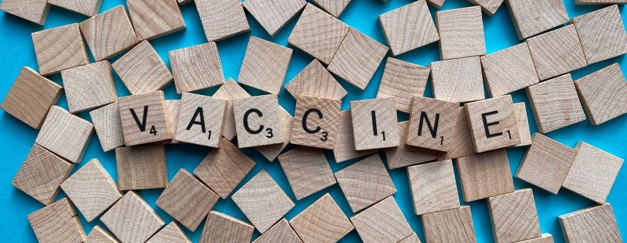 Les polémiques autour de la vaccination contre le virus H1N1