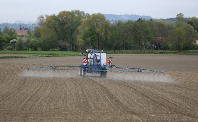 Les pesticides réduisent-ils la biodiversité ?