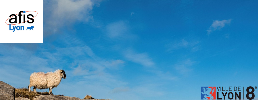 [Lyon - Vendredi 07 novembre à 19h30] Sensibilité et conscience animale