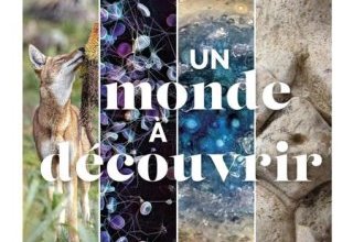 Un monde à découvrir