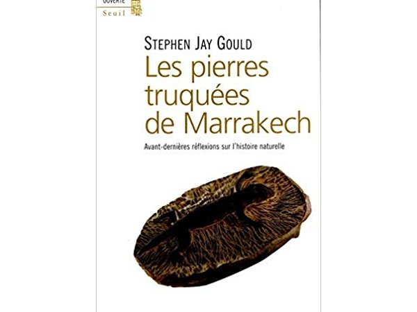Les pierres truquées de Marrakech