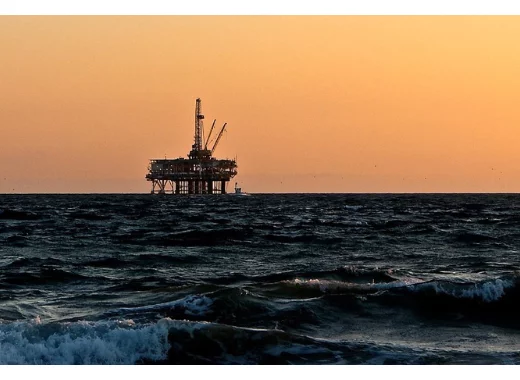 Les activités humaines sont-elles responsables ?