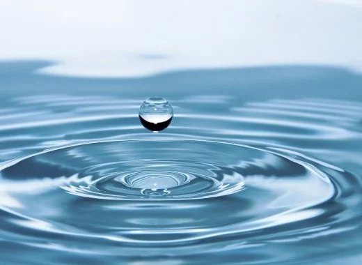 Mémoire de l'eau et biologie numérique