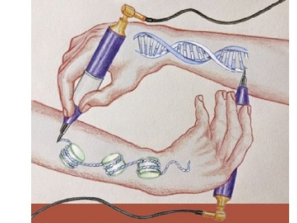 [21 mai 2022 - Paris] Épigénétique : existe-t-il une hérédité au-delà des gènes ?