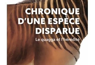 Chronique d'une espèce disparue