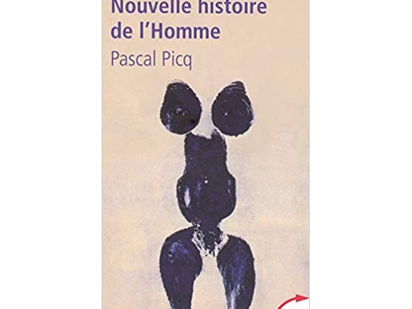 Nouvelle histoire de l'homme