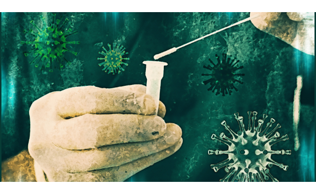Réduction de la mortalité après vaccination anti-Covid 19 en France