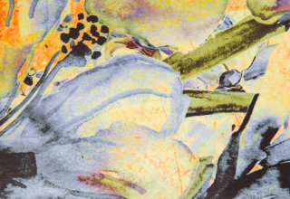 Pesticides et cancers : où en sommes-nous ?