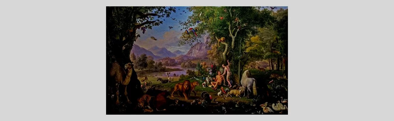 Reconquête de la biodiversité : de quelle nature parle-t-on ?