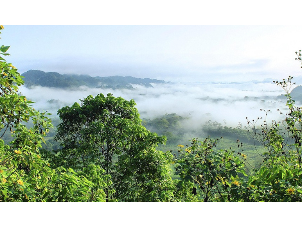 Voir sous la forêt : l'apport du lidar à la recherche archéologique en Amazonie