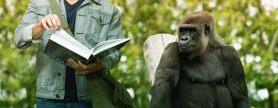 Sexe et genre vus par un primatologue