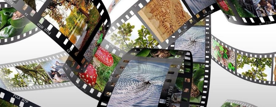 Regards croisés sur les documentaires