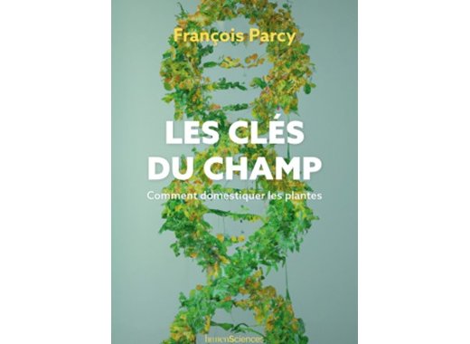 Les clés du champ