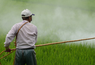 385 millions d'intoxications aux pesticides chaque année : vraiment ?