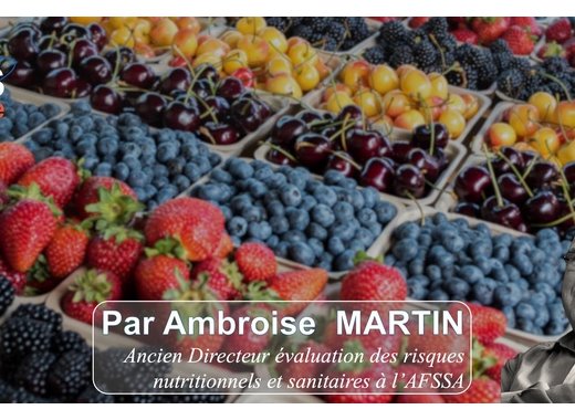 [Paris - 19 juin 2025 à 19h] Conférence : Nutrition et environnement : quel impact pour bien manger ?