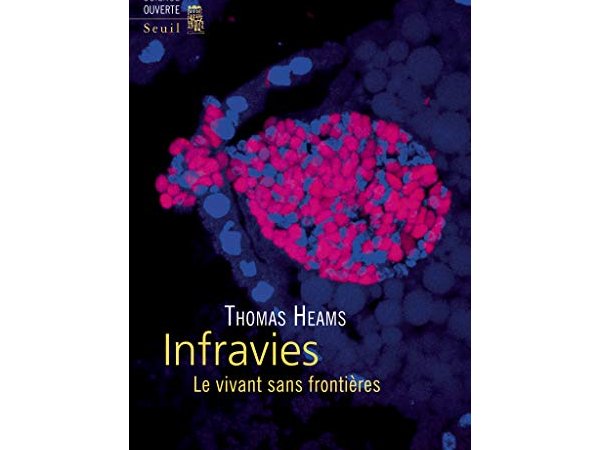 Infravies
