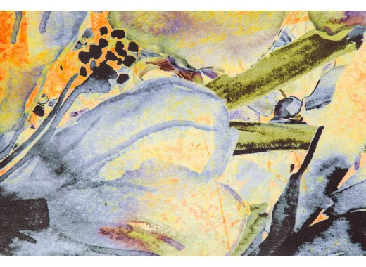 Pesticides et cancers : où en sommes-nous ?