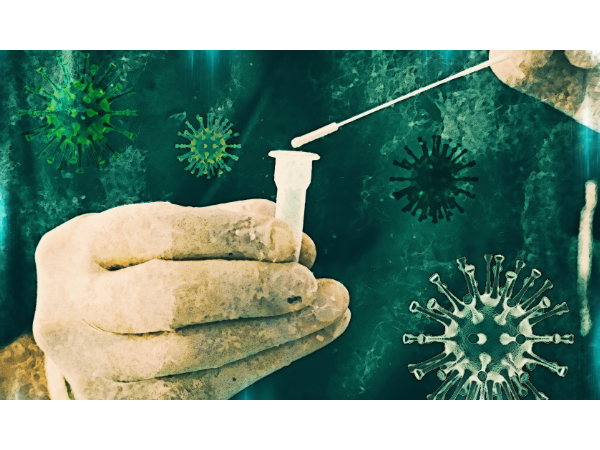 Réduction de la mortalité après vaccination anti-Covid 19 en France