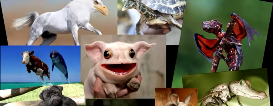 Defakator