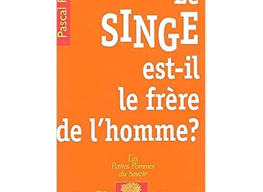 Le singe est-il le frère de l'homme ?