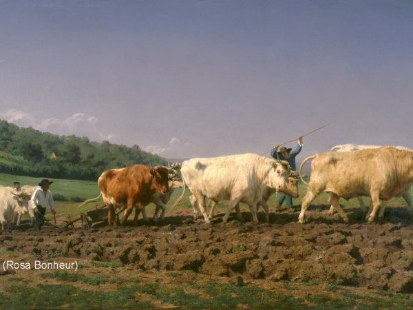 L'agriculture du Lauragais au milieu du XIX<sup>e</sup> siècle