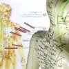 Quand l'aiguille d'acupuncture atteint le poumon