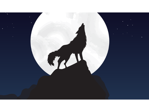 Entretien lunaire