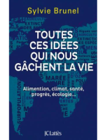 Toutes ces idées qui nous gâchent la vie